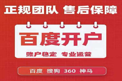 谷歌竞价广告与SEO结合的营销案例解析